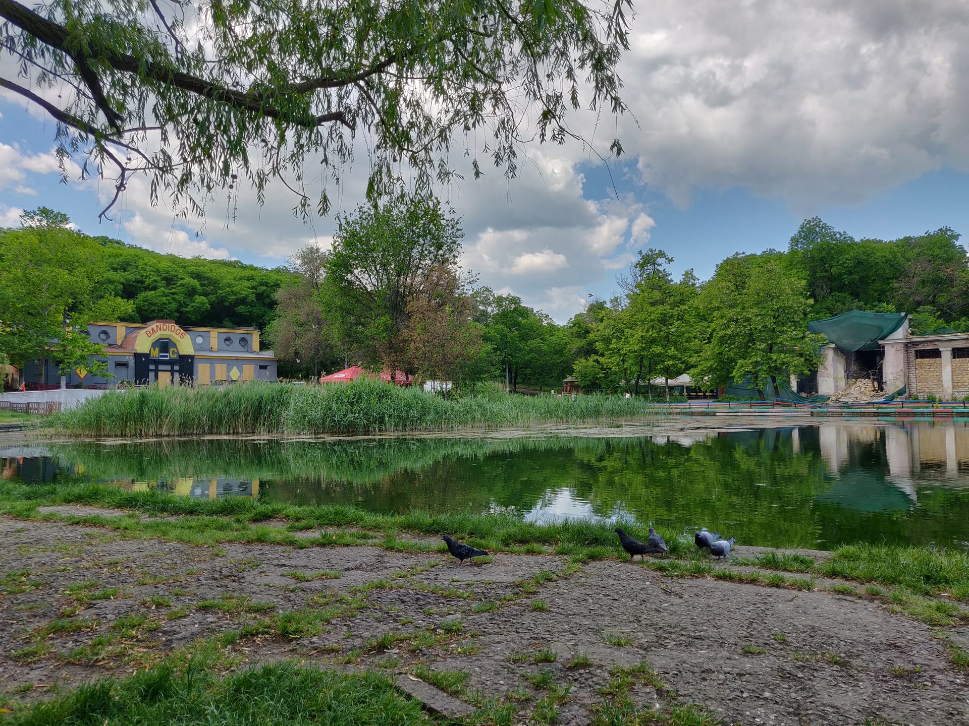 Тропинка парка, Дюківський сад (Дюковський парк), Одеса
